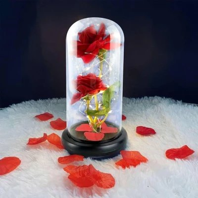 Guirlandes lumineuses LED en gros | M2TEC Grossiste