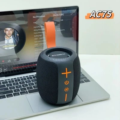 Altavoz portátil Wireless, Bluetooth 5.3, potencia 10W, TWS, 1200ma...