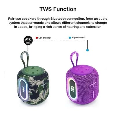 Enceinte sans fil portable TG664