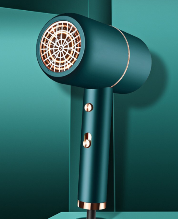 Secador de pelo profesional DL-3010