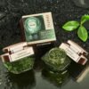 Crema Reafirmante Antiarrugas con Extracto de Milo – Hidratación, Firmeza y Juventud para tu Piel - Imagen 3