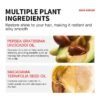Serum Capilar Multivitaminico De Aceite De Marruecos Y Aceite De Aguacate – 40 Capsulas Kormesic - Imagen 3