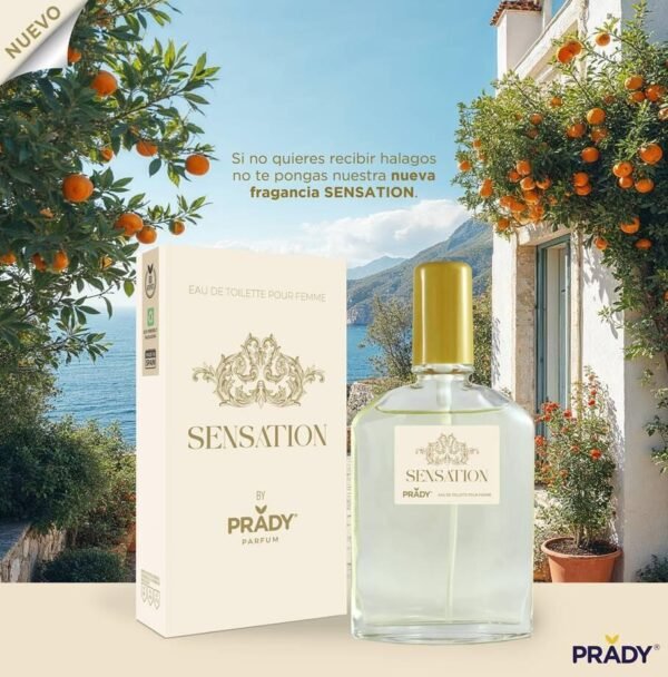 Perfume Eau de Toilette Sensation Pour Femme – 90ml